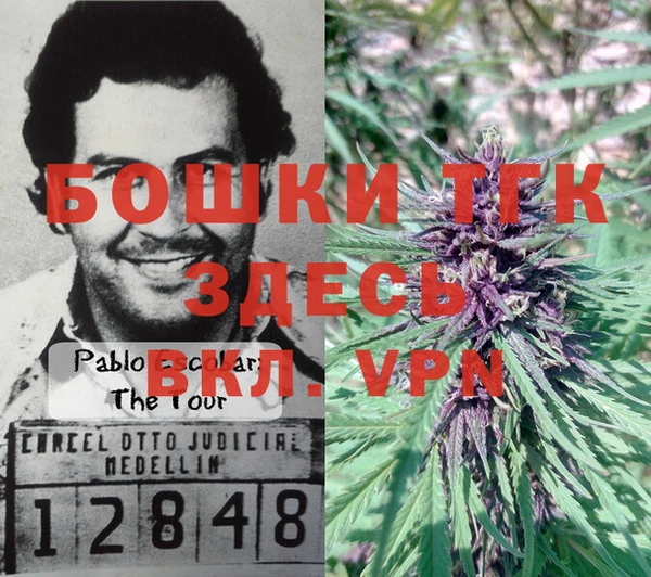 амф Кулебаки