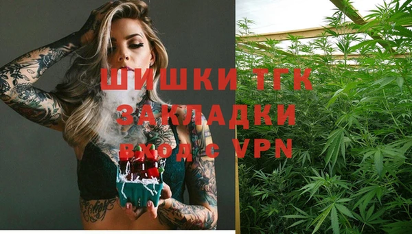 амф Кулебаки