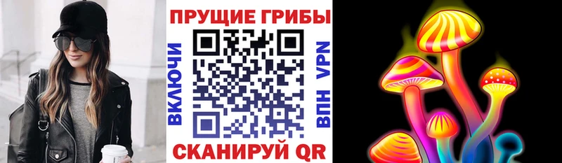Псилоцибиновые грибы Psilocybine cubensis  Купить  Нариманов 